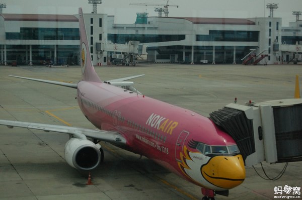盗图一张, 飞鸟航空 NOK AIR